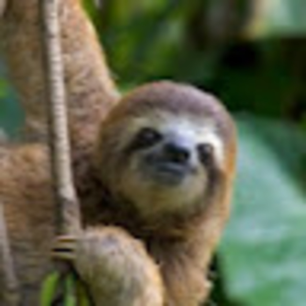 Meet your Posher, Adelyn